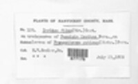 Image Associated With the Occurence